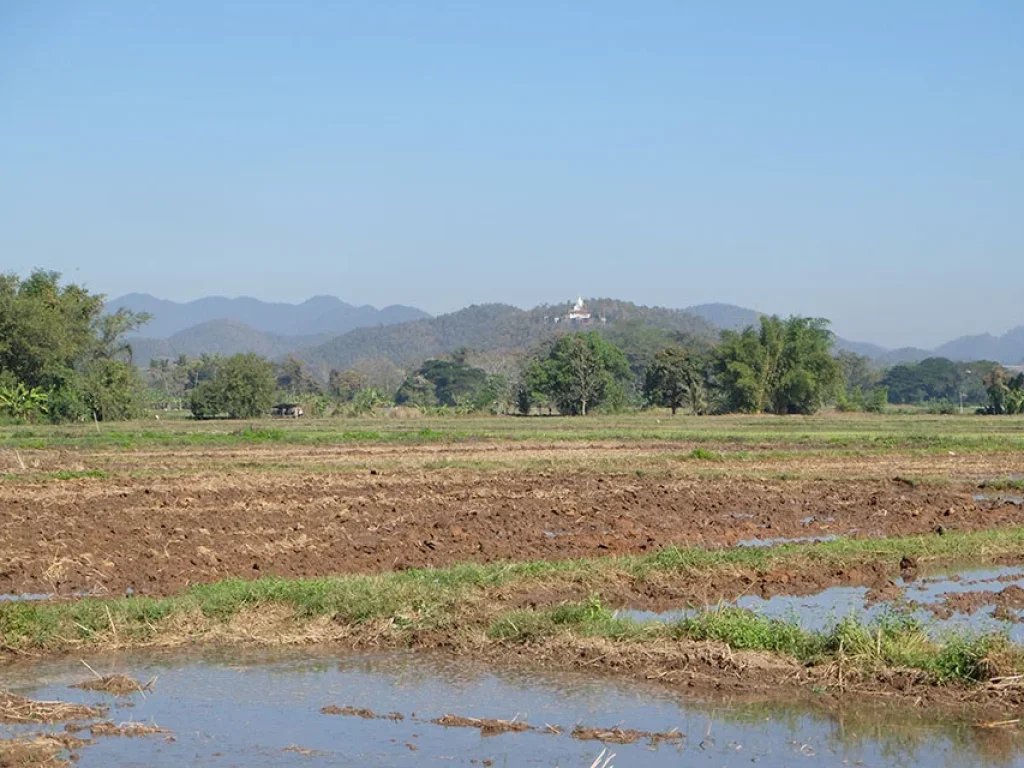 ที่นาวิวภูเขาล้อม ดอยสะเก็ด เชียงใหม่