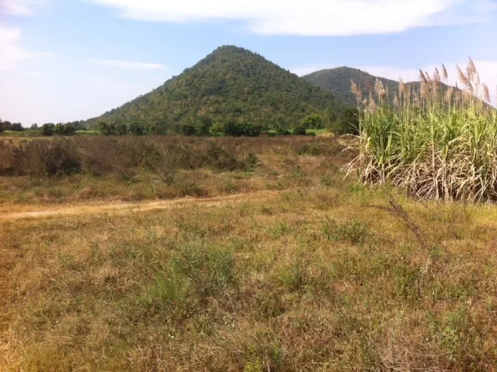 ขายที่ดินโฉนด 75ไร่ไร่ละ 159000 ติดออู่ทอง สุพรรณบุรีและ อหนองประดู่