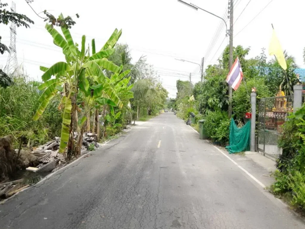 ที่ดิน รังสิตคลอง 8 อธัญบุรี จปทุมธานี