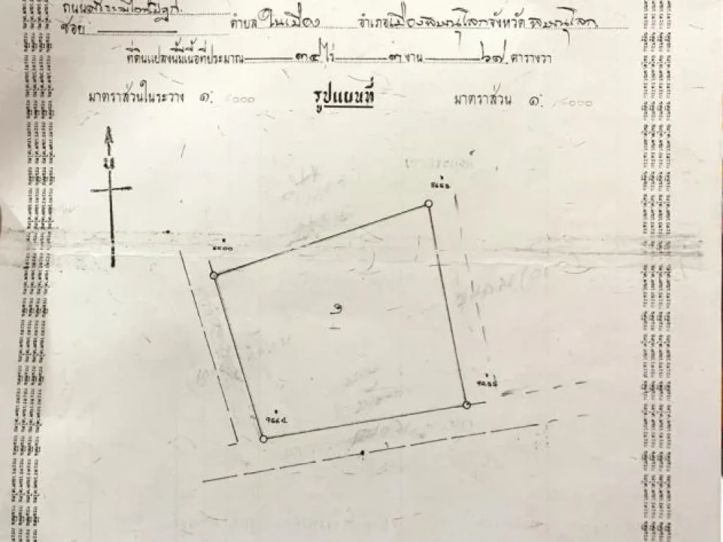 ขายที่ดิน หน้ากว้างพิษณุโลก