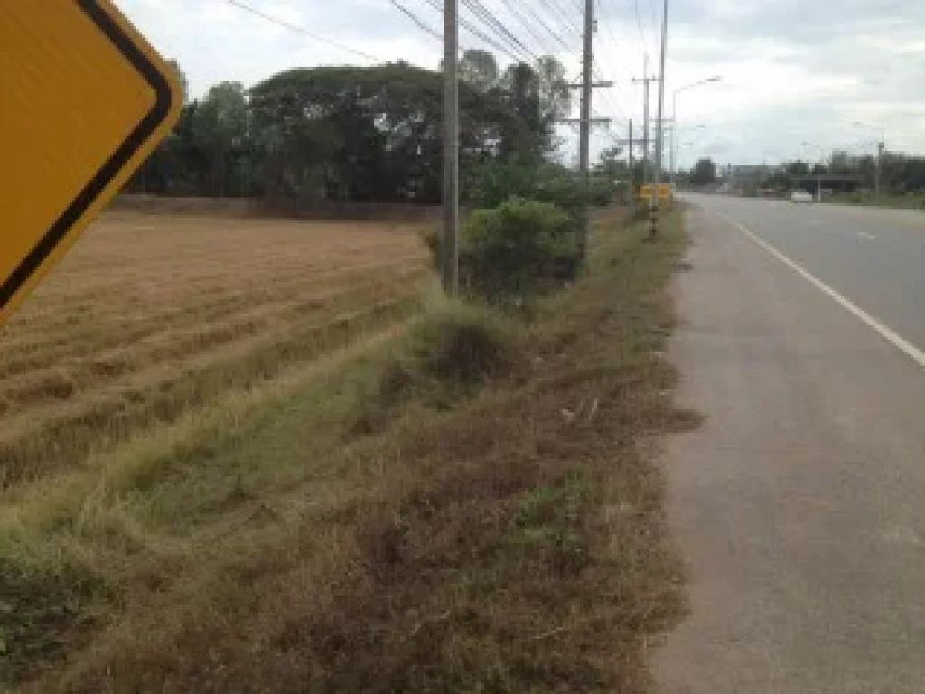 ขายที่ดินติดทางหลวงแผ่นดิน ทำเลดี ราคาถูก 25ไร่ 850000ต่อไร่ อวังทอง จพิษณุโลก