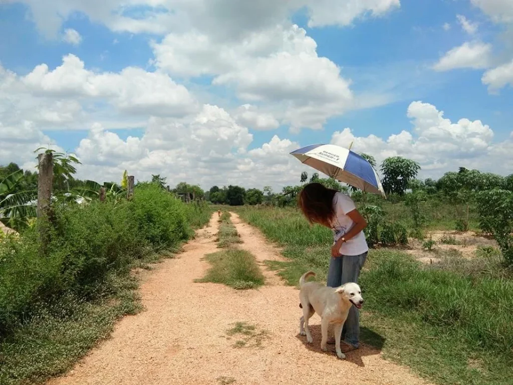 ขายด่วนที่ดินเจ้าของขายเอง