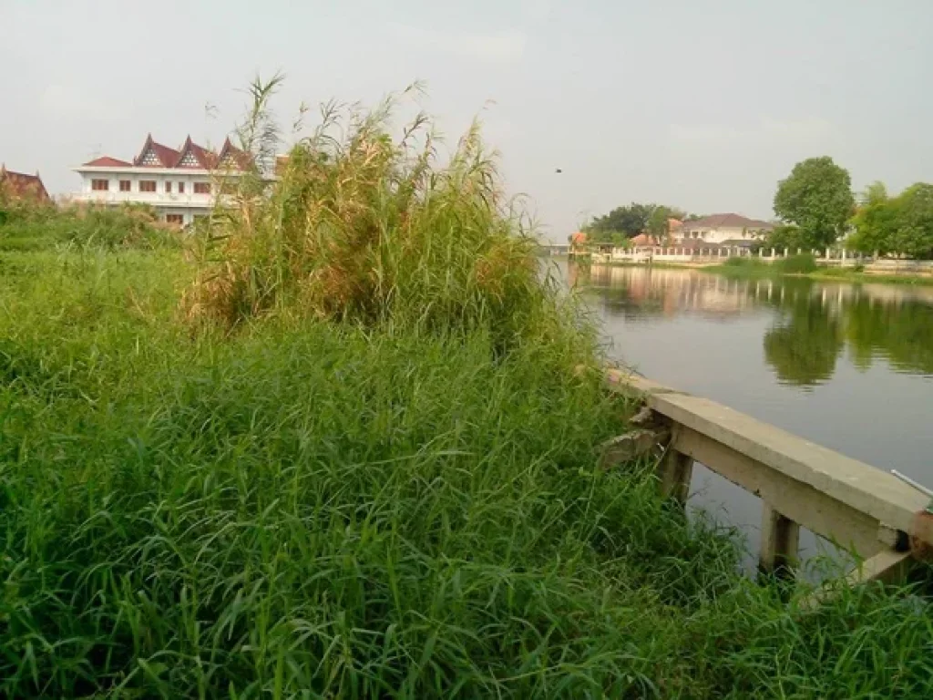 ขาย ที่ดินเปล่าริมคลองเชียงราก ถนนรังสิต-ปทุมธานี43 ตำบลบางพูน อำเภอเมือง ปทุมธานี