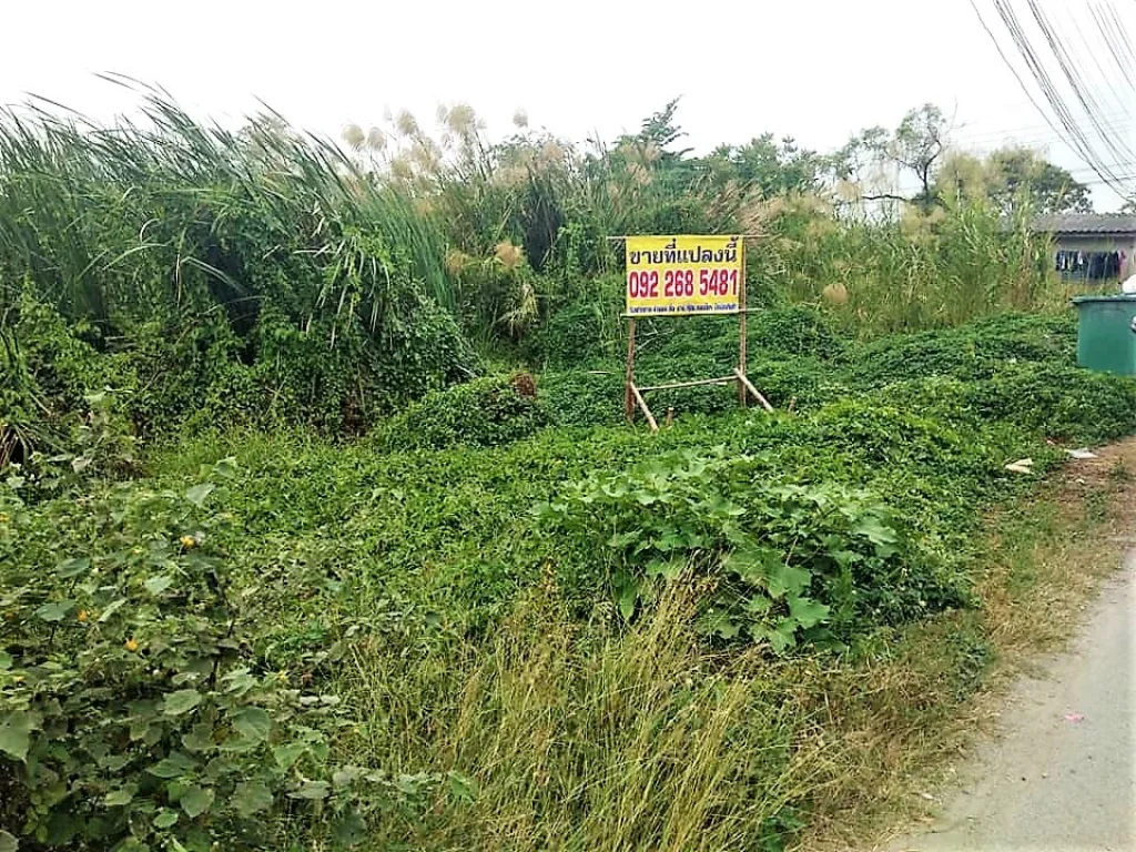 ขาย ที่ดิน บางกรวย-ไทรน้อย ติดถนนสองด้าน