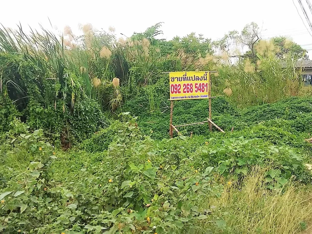 ขาย ที่ดิน บางกรวย-ไทรน้อย ติดถนนสองด้าน