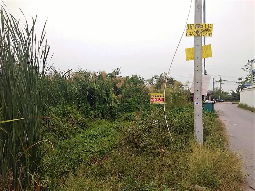 ขาย ที่ดิน บางกรวย-ไทรน้อย ติดถนนสองด้าน