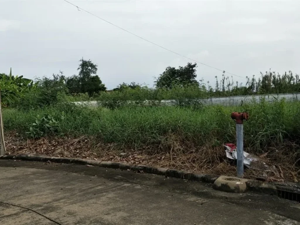 ขายที่ดินเปล่า ในหมู่บ้านชวนชื่น การ์เด้นวิวล์ ปทุมธานี