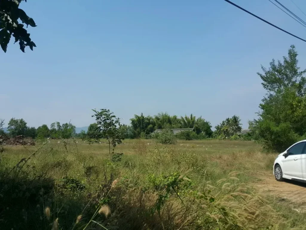 ที่ดิน ทางแยกต่างระดับวังมะนาว ถนนเพชรเกษม อเขาย้อย จเพชรบุรี