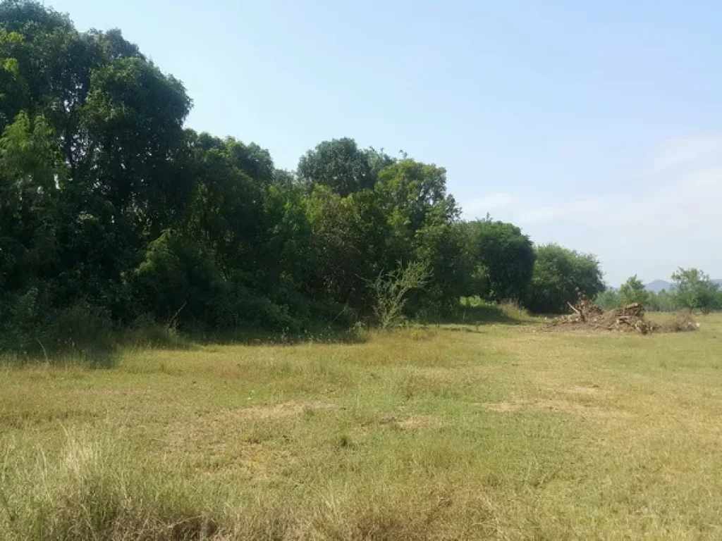 ที่ดิน ทางแยกต่างระดับวังมะนาว ถนนเพชรเกษม อเขาย้อย จเพชรบุรี