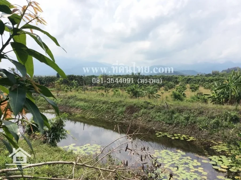 ขายที่ดินติดถนนจันทบุรี-สระแก้ว โฉนด 32-1-98ไร่ ตปะตง อสอยดาว จจันทบุรี รหัส L170