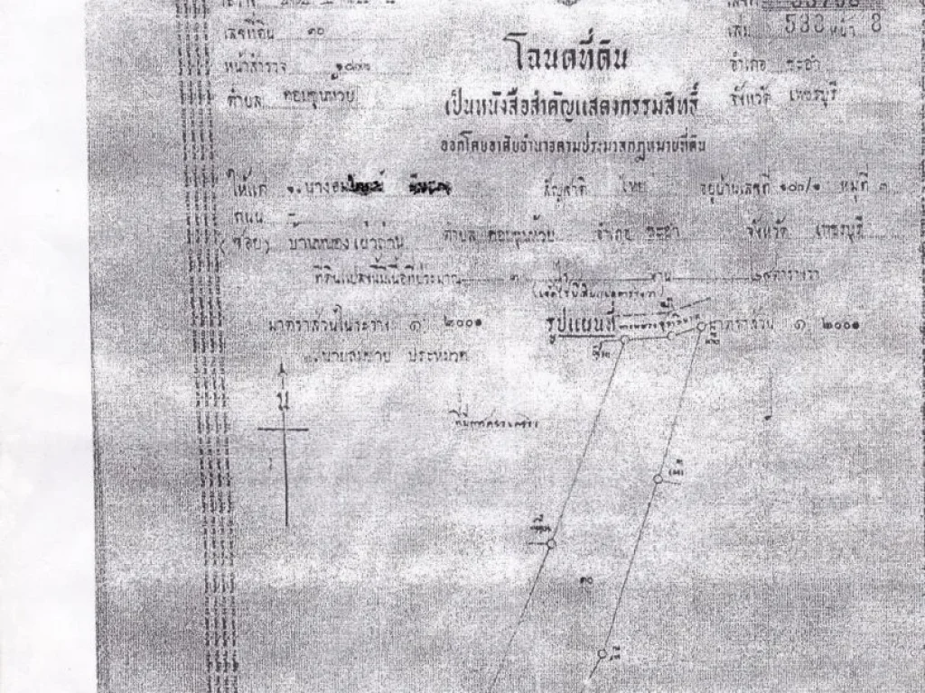 ขายที่ 3 ไร่ ที่บ้านหนองเผาถ่าน ตดอนขุนห้วย อชะอำ จเพชรบุรี