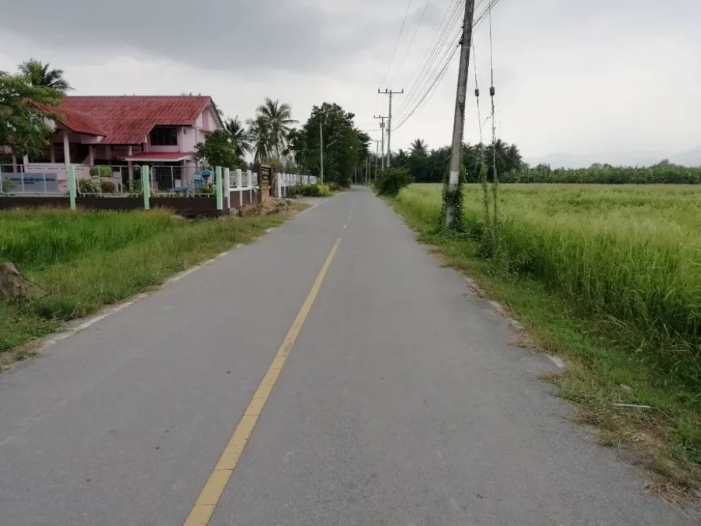 ขายที่โฉนดเขตพื้นที่บ้านดอนขุนห้วย อชะอำ จเพชรบุรี ตดอนขุนห้วย