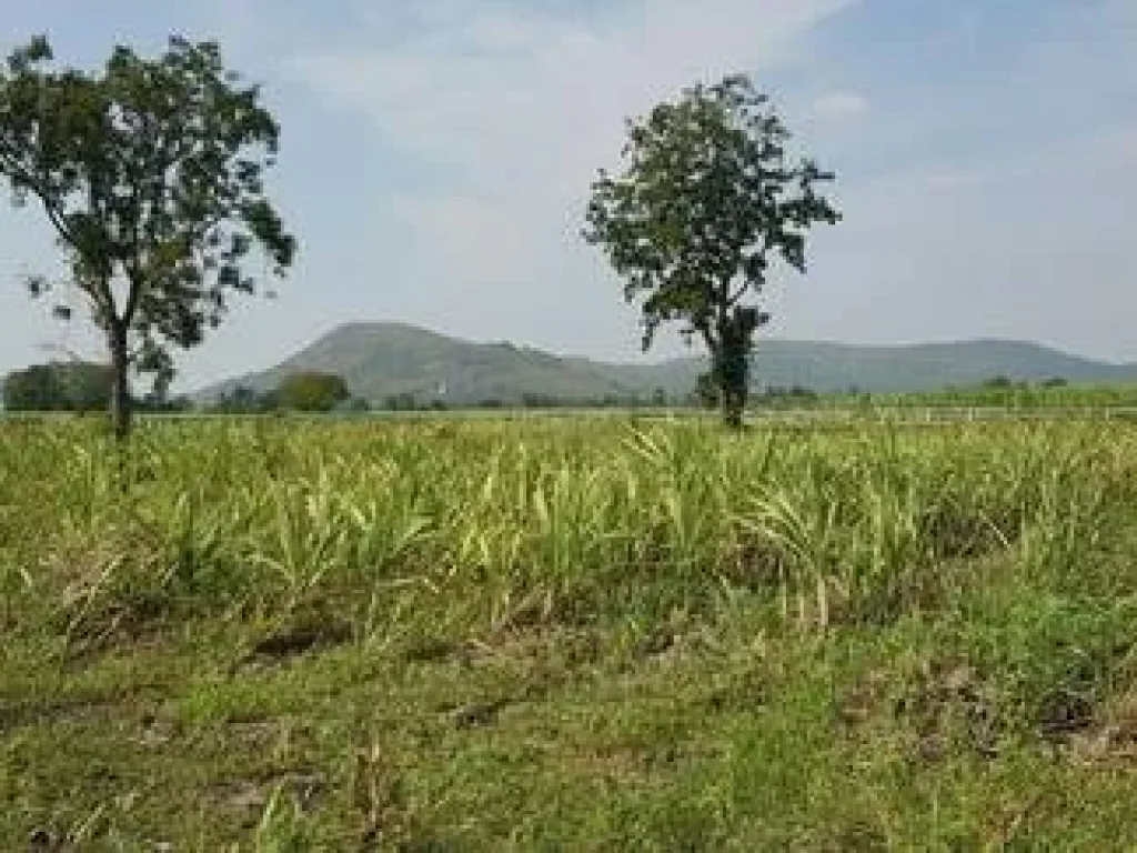 ขายที่ดินจัดสรรแบ่งขาย 3 แปลงสุดท้าย อู่ทอง สุพรรณบุรี