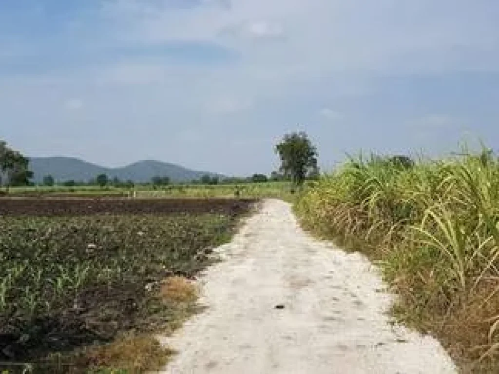 ขายที่ดินจัดสรรแบ่งขาย 3 แปลงสุดท้าย อู่ทอง สุพรรณบุรี