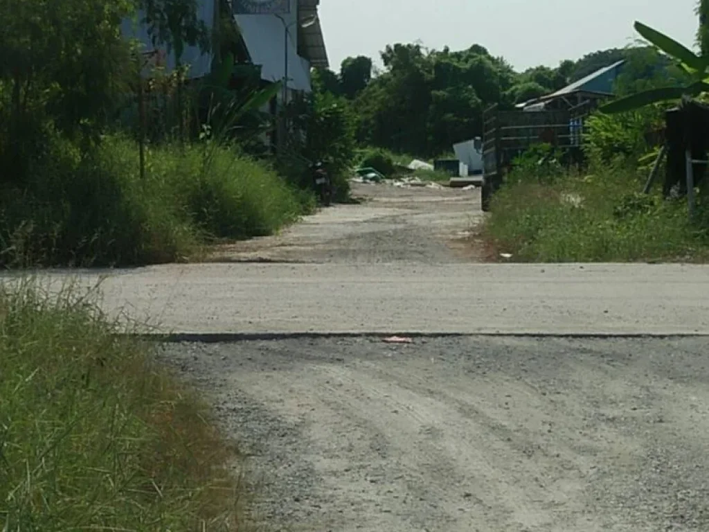 ขายที่ดินเปล่า 200 ตรว ศรีด่าน 22 บางพลี สมุทรปราการ