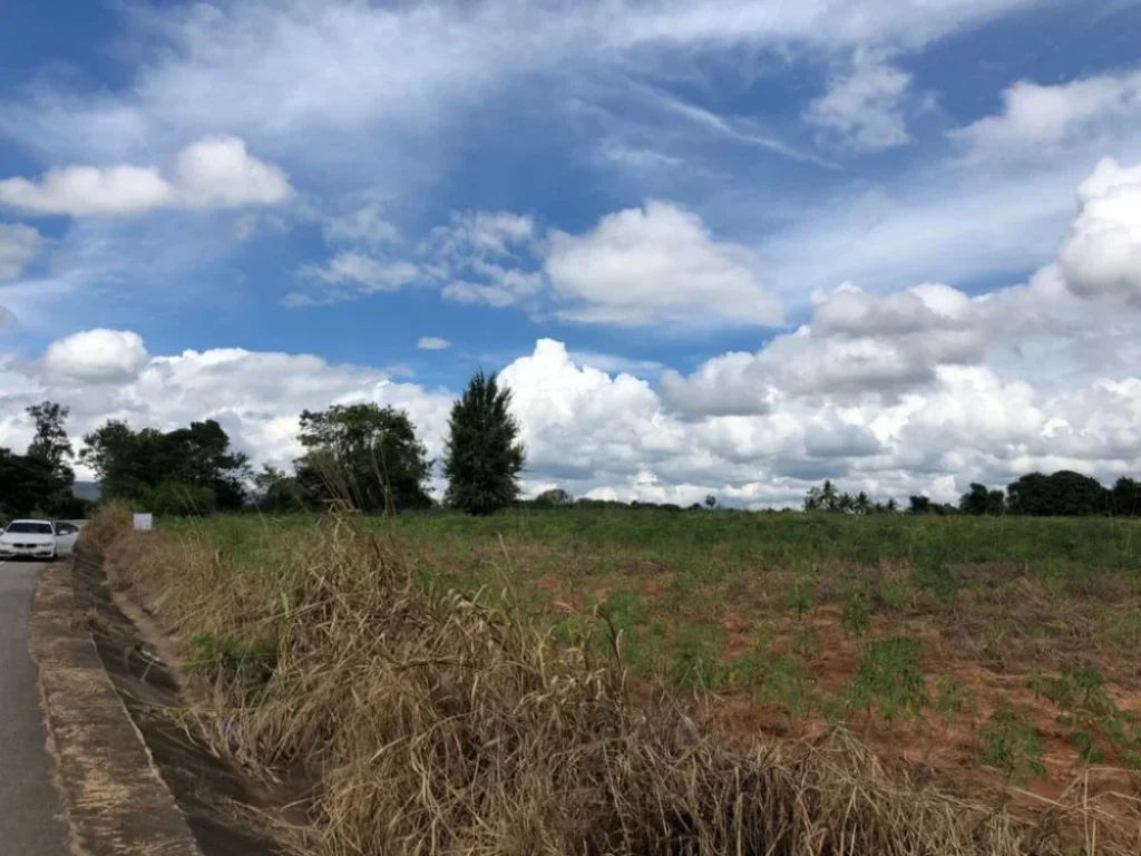 ประกาศขายที่ดินสวย 11 ไร่ อเทพสถิต จชัยภูมิ เหมาะสำหรับทำบ้านพักอาศัย บ้านพักตากอากาศ ทำรีสอร์ท ทำการเกษตร