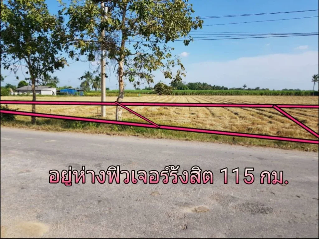 ขายที่ดิน 4 แปลง ติดถนนลาดยาง ทางหลวงชนบท สายบ้านปลักเขว้า-บ้านเบญจพาด ตพังตรุ อพนมทวน จกาญจนบุรี