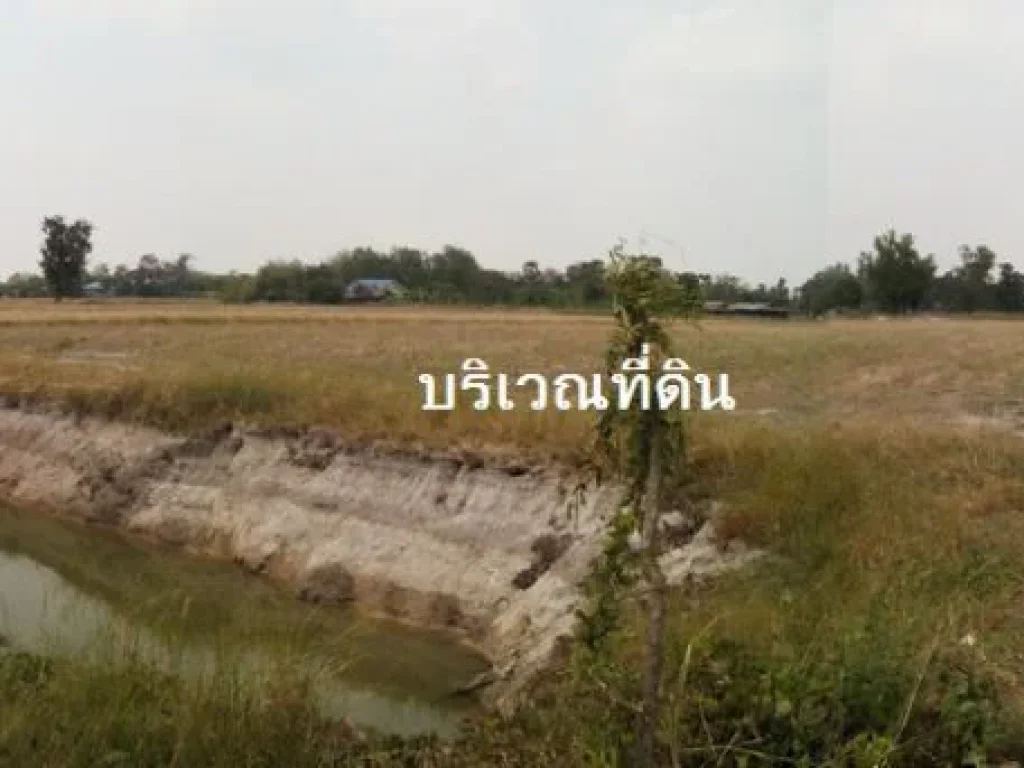 ขายที่ดิน บ้านนา นครนายก