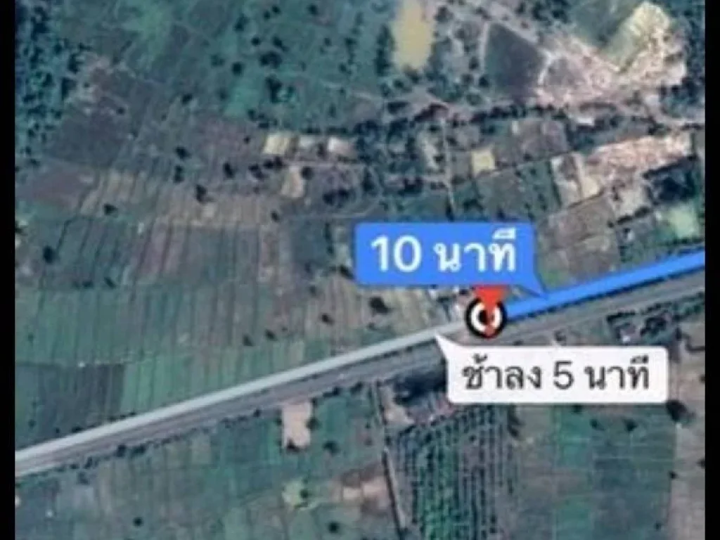 ขายที่ดินเปล่า อยู่หลังวัดหนองค้อ ศรีราชา ซอยชุมชนหนองค้อ 6