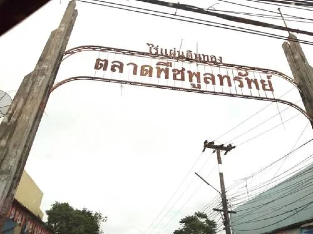 ขายที่ดิน โฉนด หมู่บ้านหนองหว้า พนมสารคาม ฉะเชิงเทรา