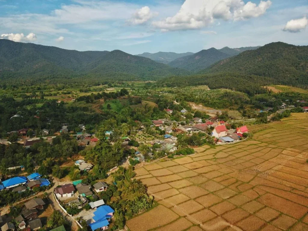 ที่สวนราคาถูกติดถนนคอนกรีต