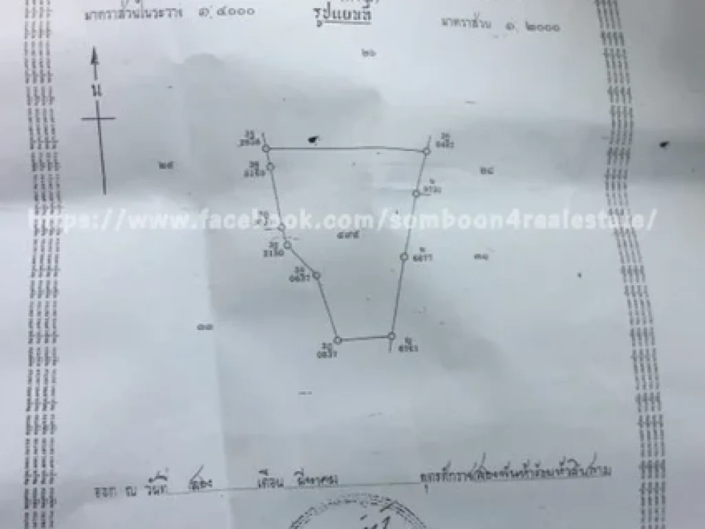 ขายด่วนที่ดินติดถนนคันคลอง เป็นที่นา ใกล้ชุมชน มีไฟฟ้า