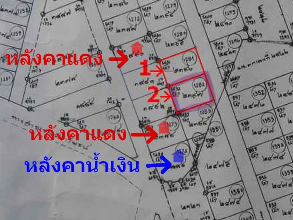 ขายที่ดิน โคราช 102 ตรว