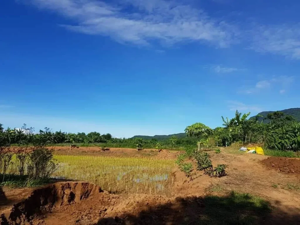 ขายที่ดิน ติดภูเขา