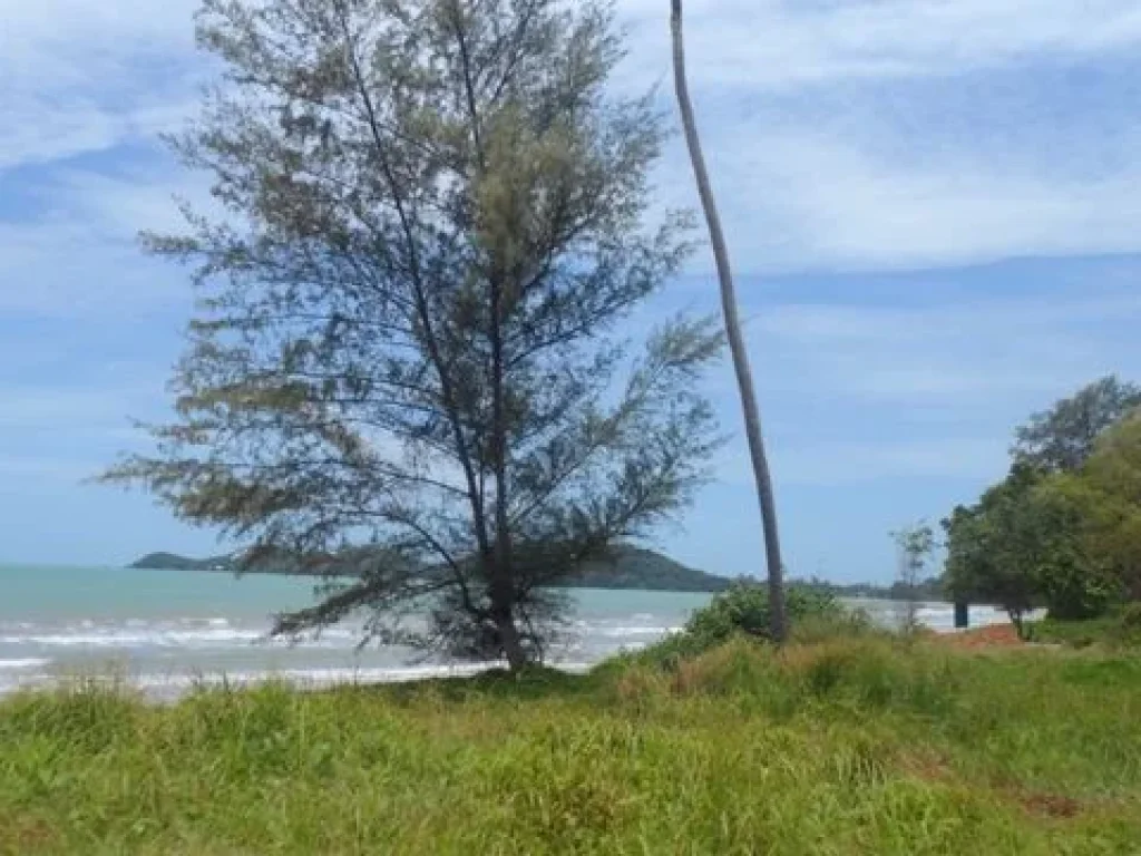 ขายที่ดินติดทะเล และข้ามคลองติดชายหาดทะเลแม่พิมพ์ จำนวน เกือบ 2 ไร่ ด้านหน้าติดถนนใหญ่ ทำเลดีเยี่ยม