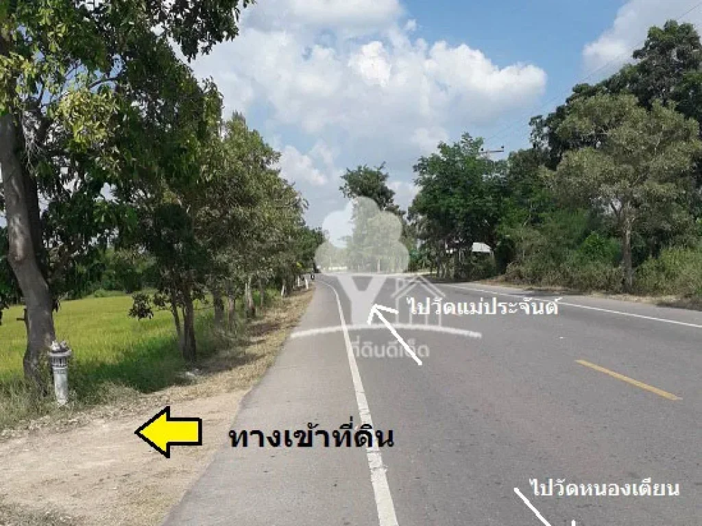 ขายที่ดินทำเลดี 5 ไร่ ท่ายาง ใกล้ถนนลาดยางเส้นหลัก