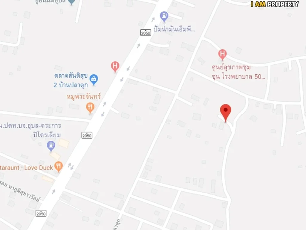 ขายบ้านเดี่ยว โซนบ้านปลาดุก