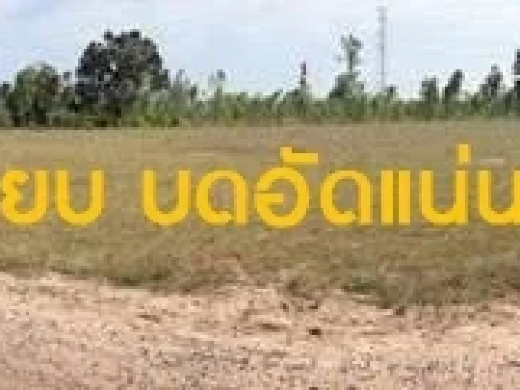 ขายที่ดินโฉนด 05-0-51 ไร่ ตแก่งโดม อสว่างวีระวงศ์