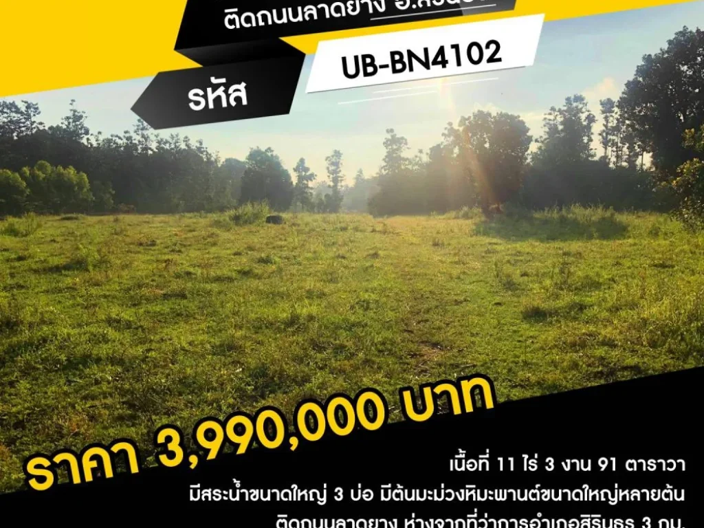 ที่ดินเปล่า 11-03-91 ไร่ ติดถนนลาดยาง อสิรินธร