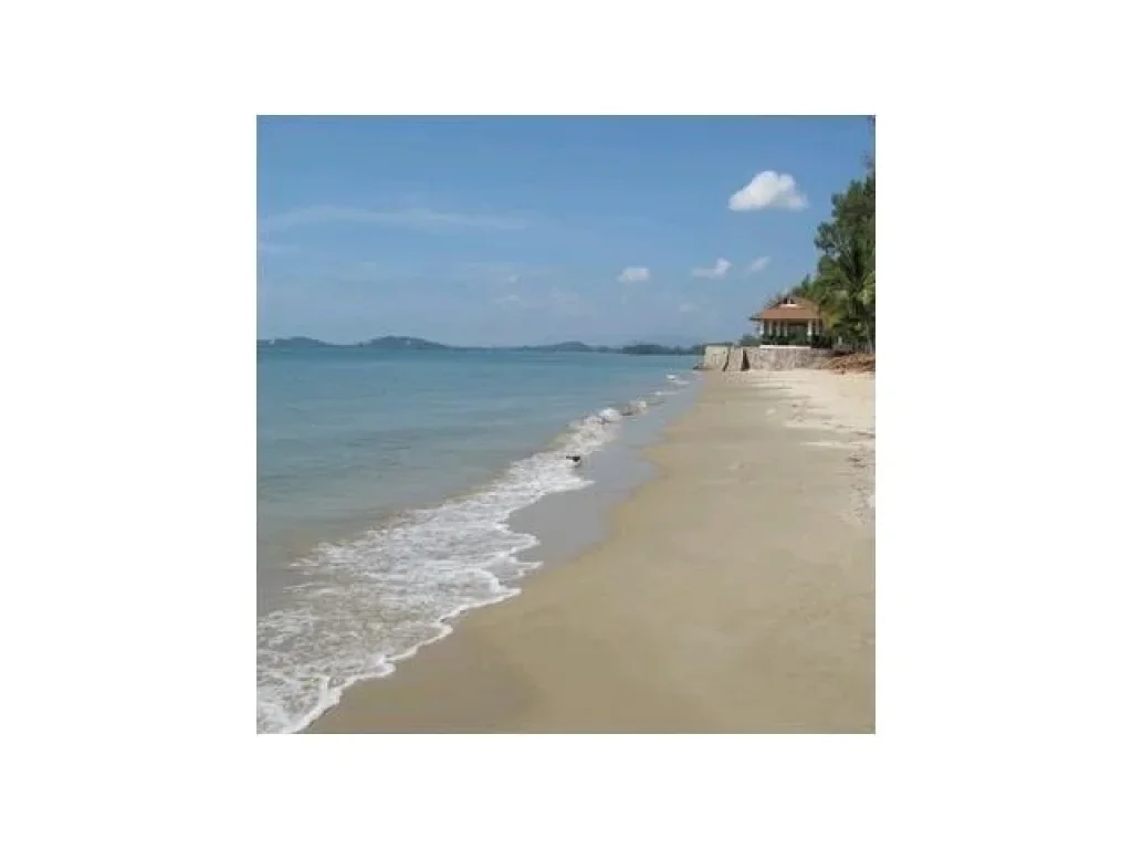 ขายที่ดินติดทะเลหาดพลา เดินลงทะเลได้เลย 2 ไร่ เหมาะสร้างอพาทเม้นท์