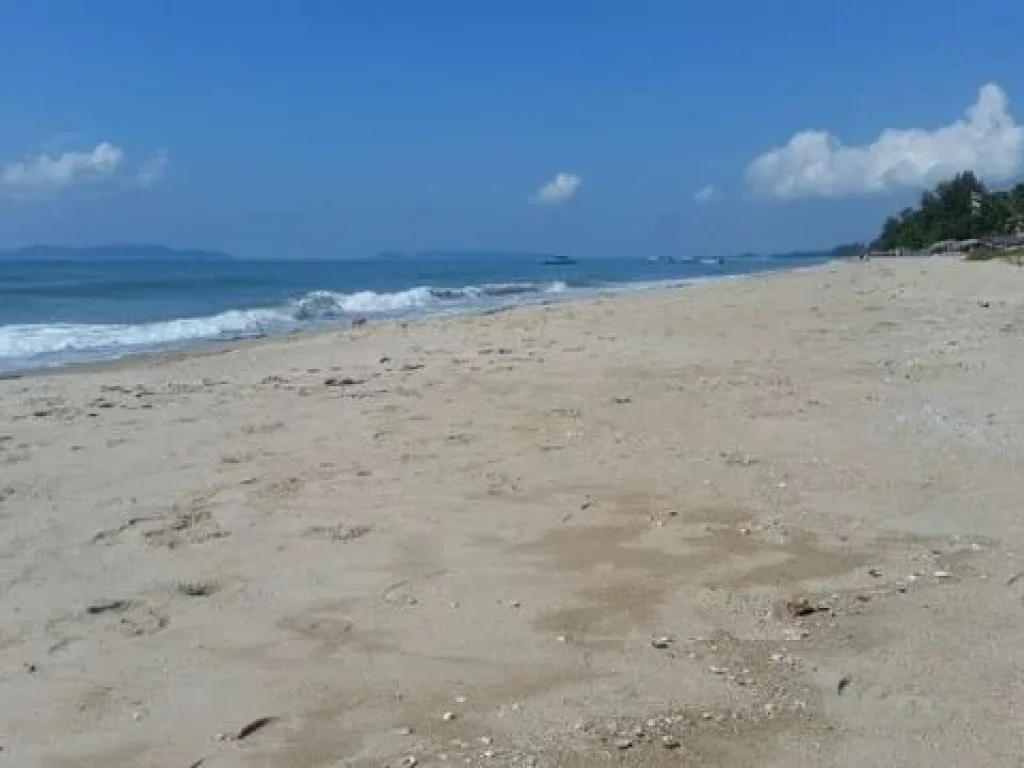 ขายที่ดินติดทะเล อ่าวไข่ เดินลงชายหาดได้เลย ไม่มีถนนคั่น หาดสวยมาก โฉนด 857 ตารางวา มีที่จอดเรือยอร์ช