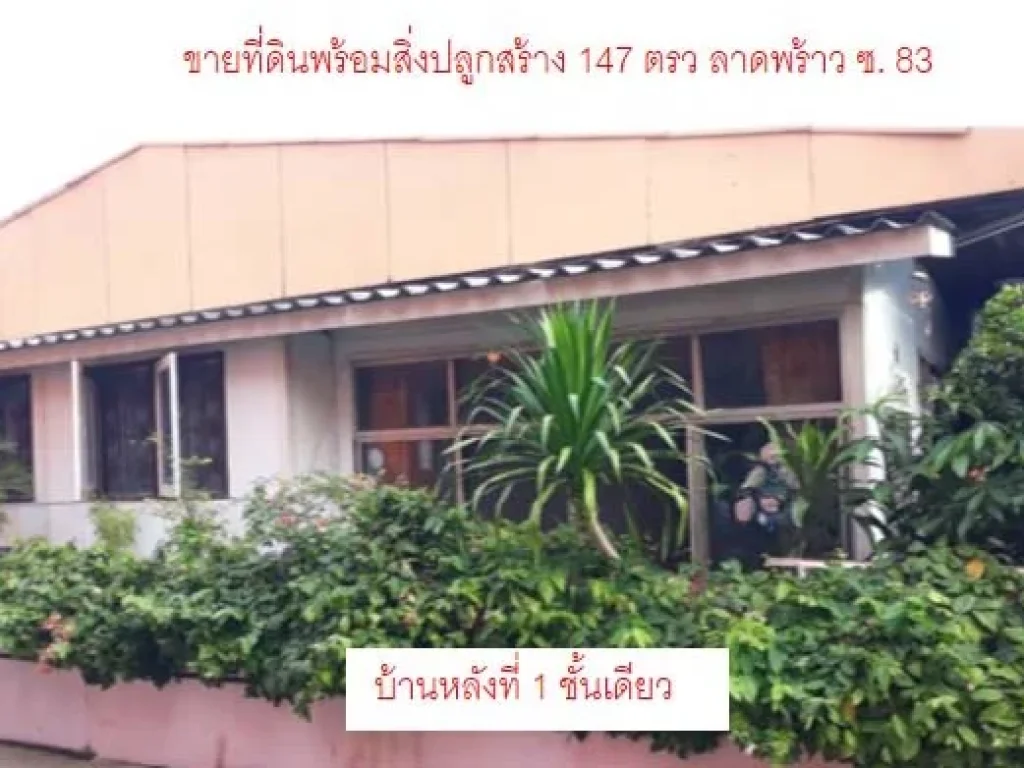 ขายที่ดิน 147 ตรว พร้อมบ้าน 2 หลัง ซลาดพร้าว81 ใกล้บิ๊กซีลาดพร้าว 200 เมตร