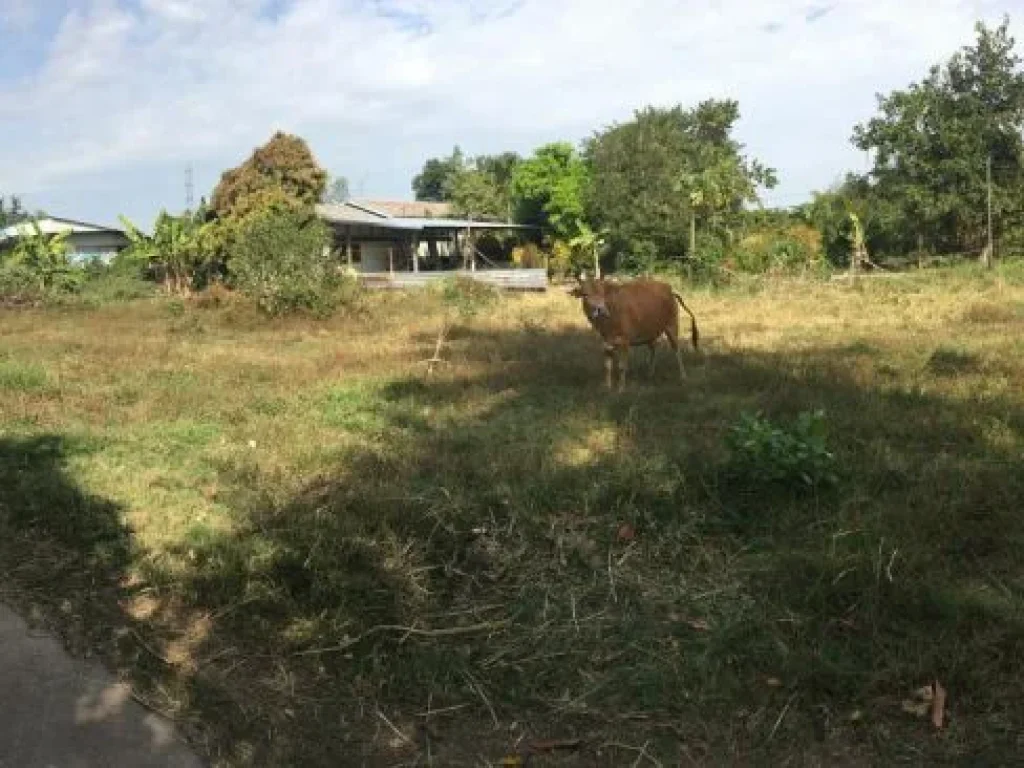 ที่ดิทำเลดี