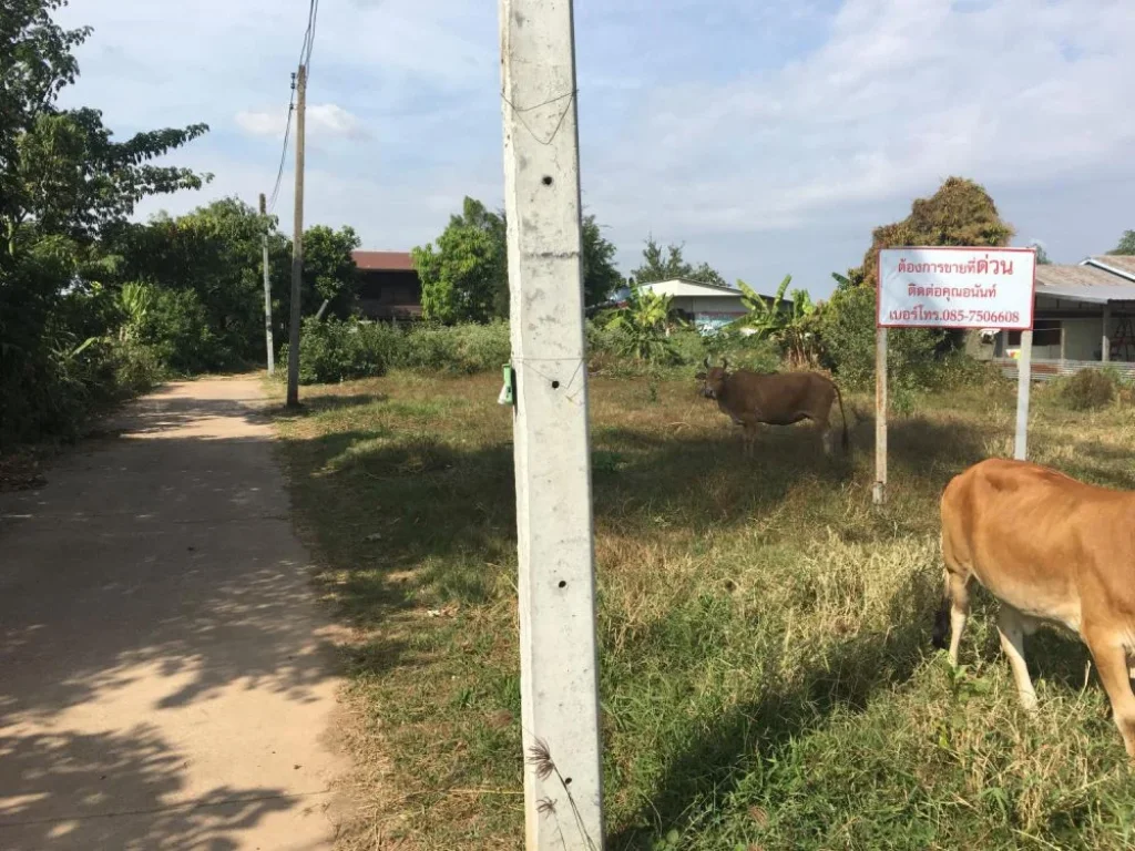 ที่ดิทำเลดี