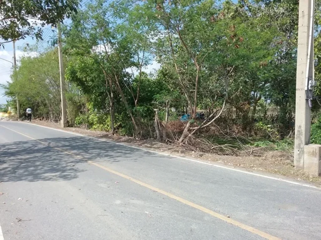 ขายที่ดินบางนา-ตราด กม41 บางวัว บางปะกง 10 ไร่ ตบางวัว อบางปะกง จฉะเชิงเทรา