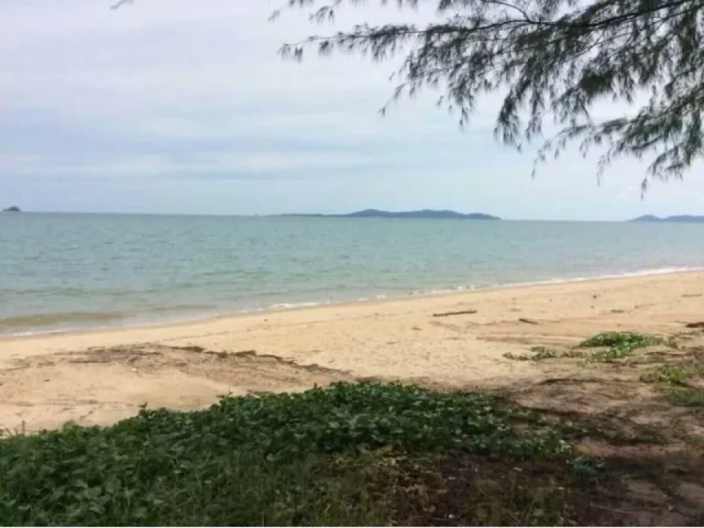 ขายที่ดินติดทะเล เดินลงชายหาดได้เลย ไม่มีถนนคั่น โฉนด 18 ไร่