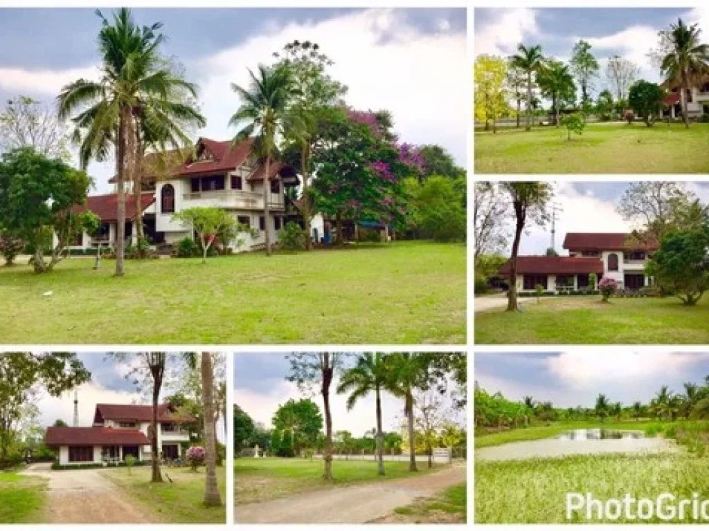 ขายบ้านเดี่ยว2ชั้น พร้อมที่ดิน สวนมะพร้าว 14 ไร่ โพธาราม ราชบุรี