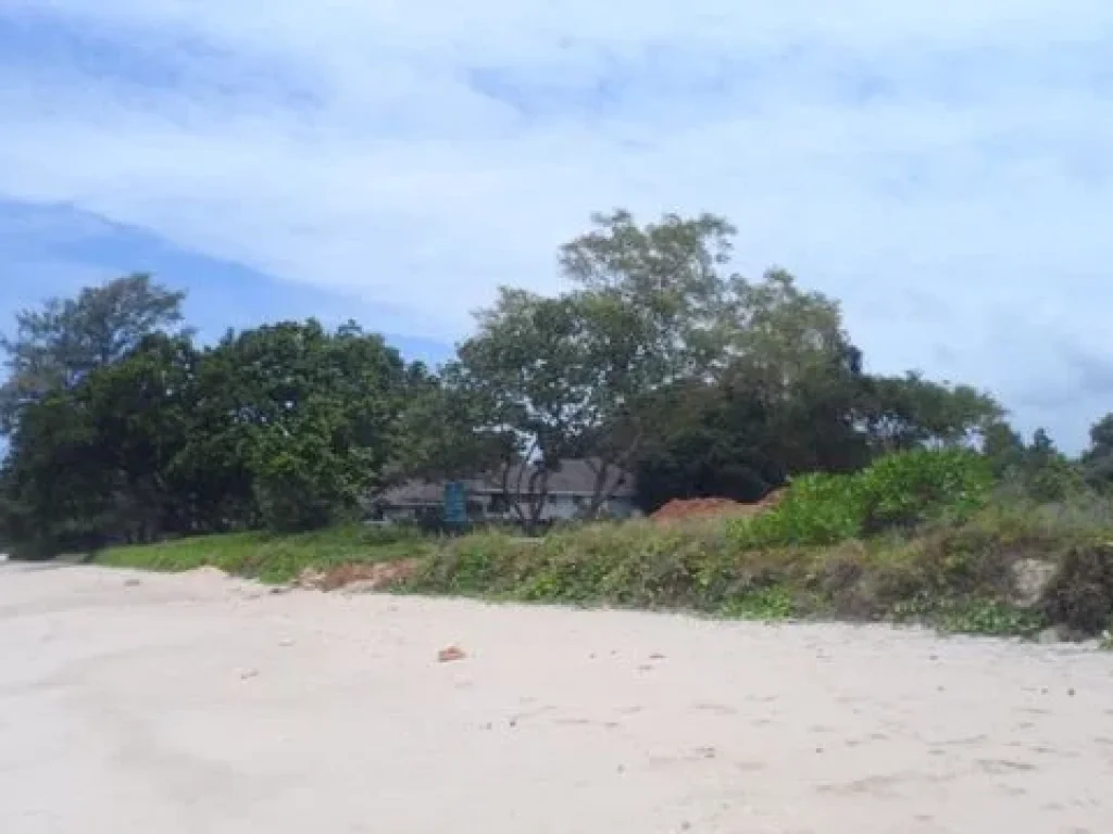 ขายที่ดินติดทะเล เดินลงชายหาดได้เลย ไม่มีถนนคั่น เงียบสงบ บรรยากาศดี 25 ไร่