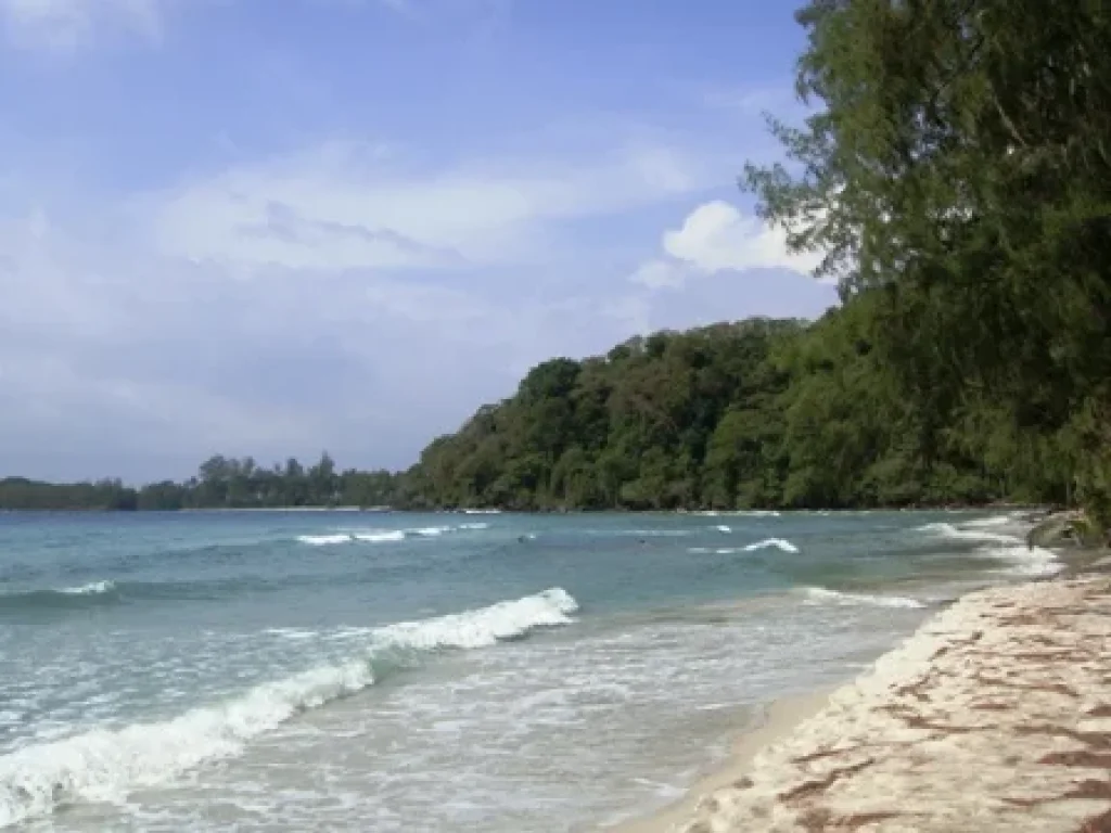 ขายที่ดินติดทะเล เดินลงชายหาดได้เลย ไม่มีถนนคั่น เงียบสงบ บรรยากาศดี 25 ไร่