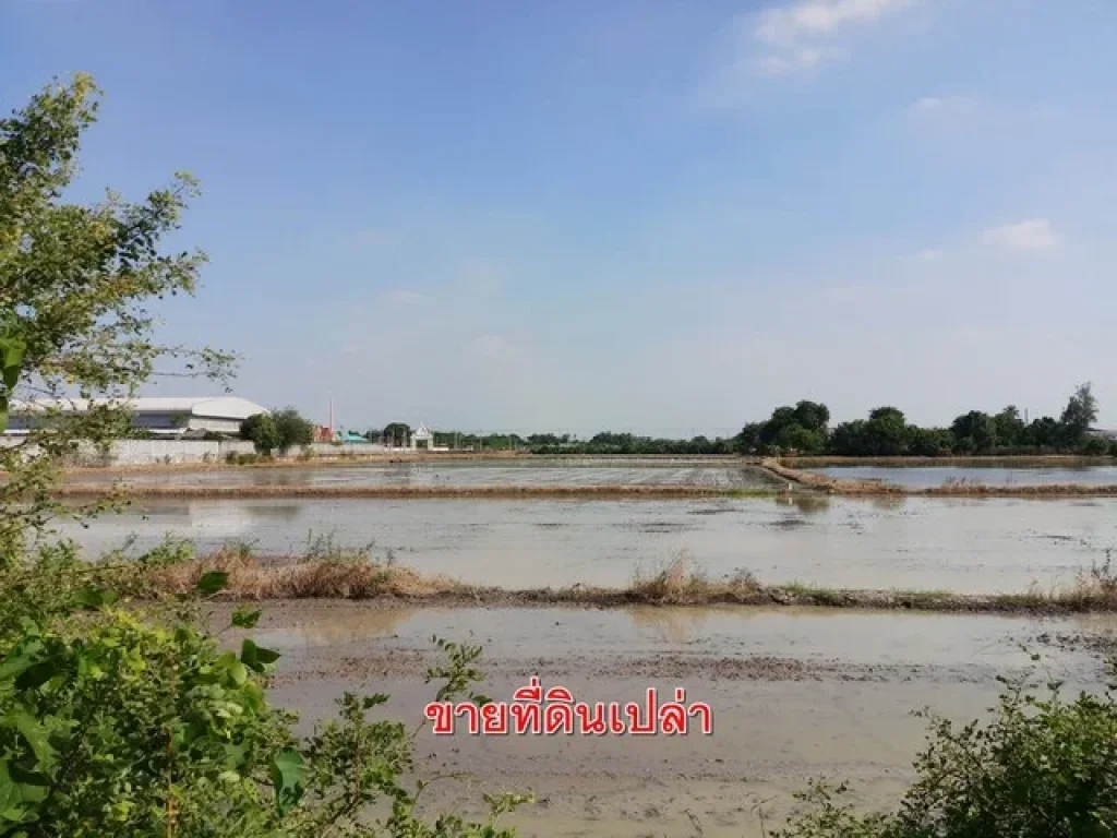 ขาย ที่ดินเปล่า 40 ไร่ ตรงข้ามวัดลำโพ บางบัวทอง นนทบุรี