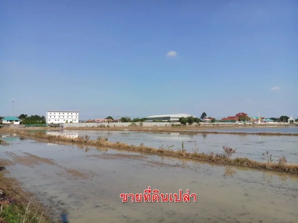 ขาย ที่ดินเปล่า 40 ไร่ ตรงข้ามวัดลำโพ บางบัวทอง นนทบุรี