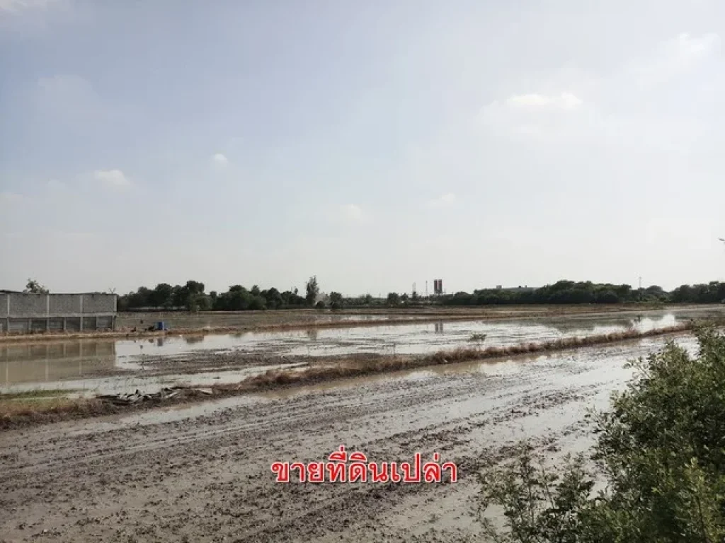 ขาย ที่ดินเปล่า 40 ไร่ ตรงข้ามวัดลำโพ บางบัวทอง นนทบุรี