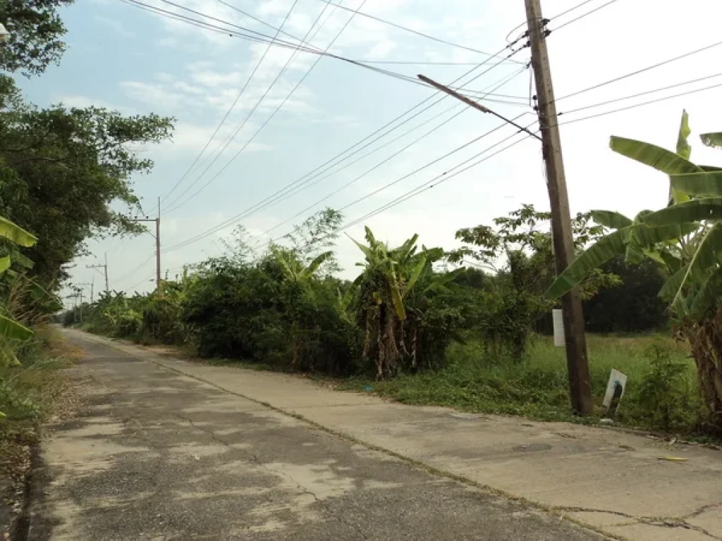 ที่ดิน บงกช 40 คลองสอง รังสิต-นครนายก คลองหลวง ปทุมธานี