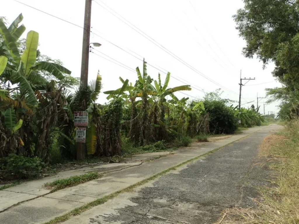 ที่ดิน บงกช 40 คลองสอง รังสิต-นครนายก คลองหลวง ปทุมธานี