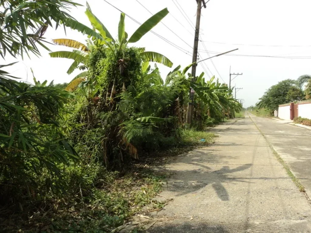 ที่ดิน บงกช 40 คลองสอง รังสิต-นครนายก คลองหลวง ปทุมธานี