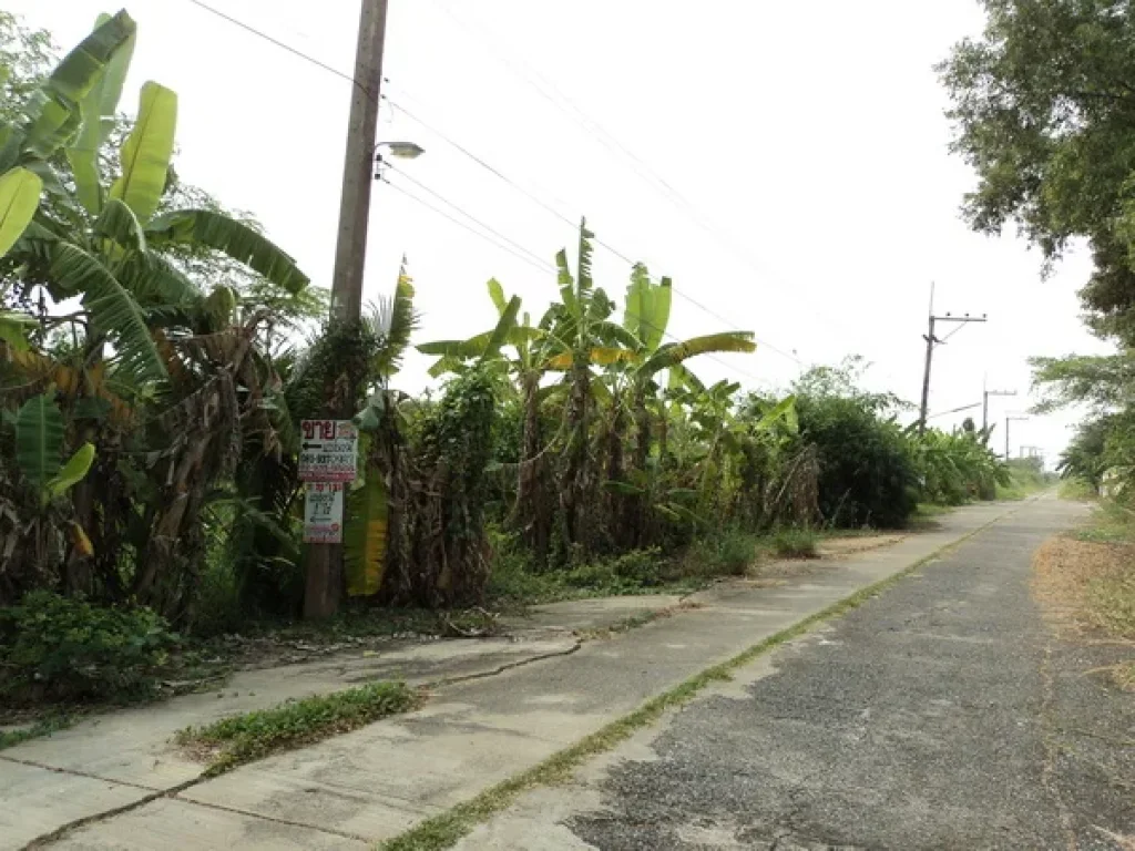 ที่ดิน บงกช 40 คลองสอง รังสิต-นครนายก คลองหลวง ปทุมธานี